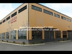 15년 보다 과학적이고 과학 기술 밸브스모레인 웨이트 밸브는 제조합니다